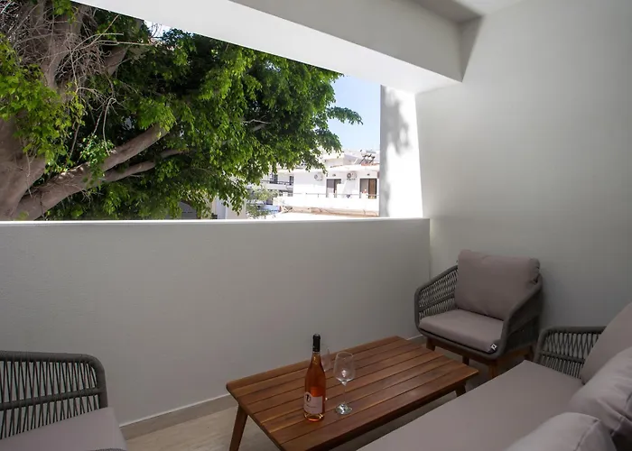 Vasi Luxury 아파트 *